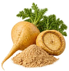 Maca-Wurzelextrakt (Lepidium meyenii) in der Formel von {{OFFER_NAME}}