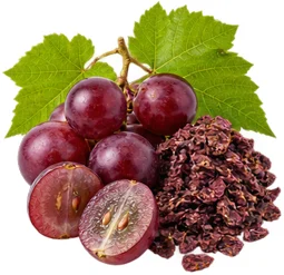 Traubenschalenextrakt (Vitis vinifera) in der Formel von {{OFFER_NAME}}
